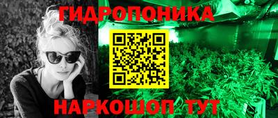 стафф Ярославль