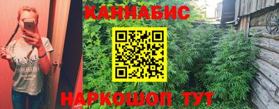 стафф Ярославль