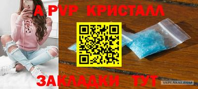 стафф Ярославль